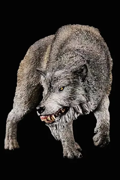 Dire Wolf photo