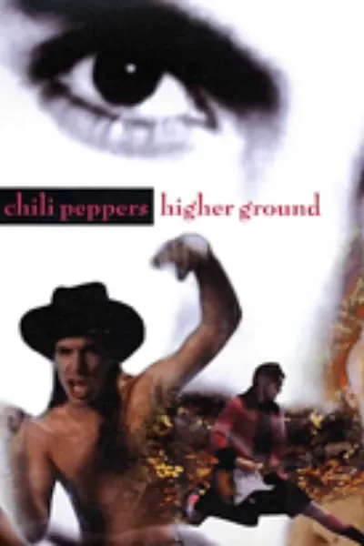 Higher Ground (Stevie Wonder song) photo