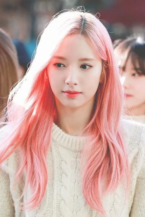 Bona photo