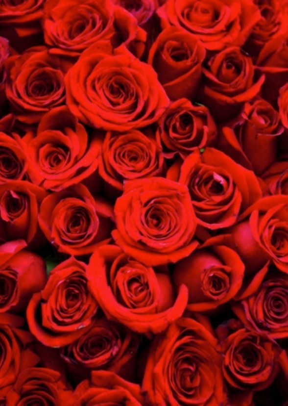 Be My Valentine
