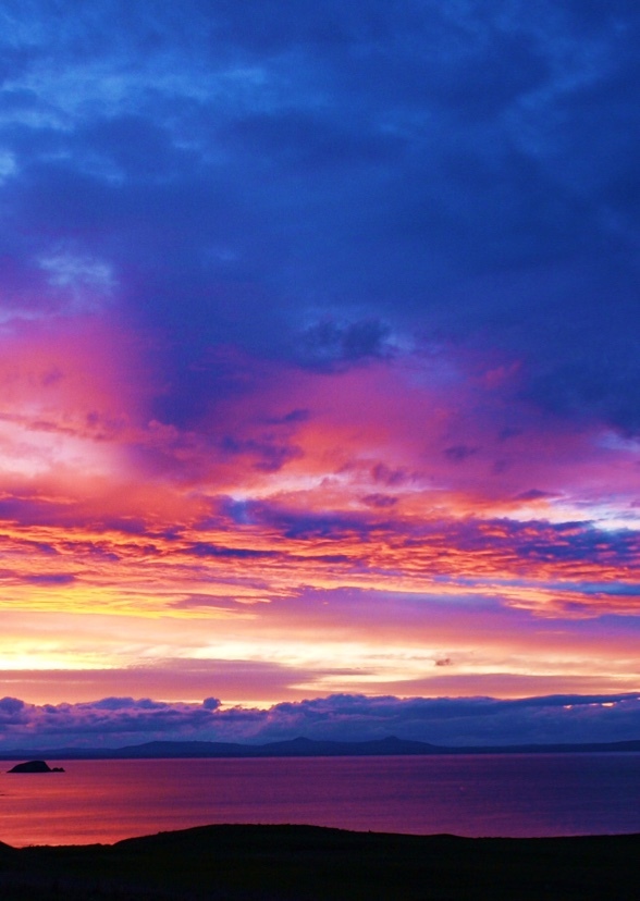 Audrey Collins: 6th grade story