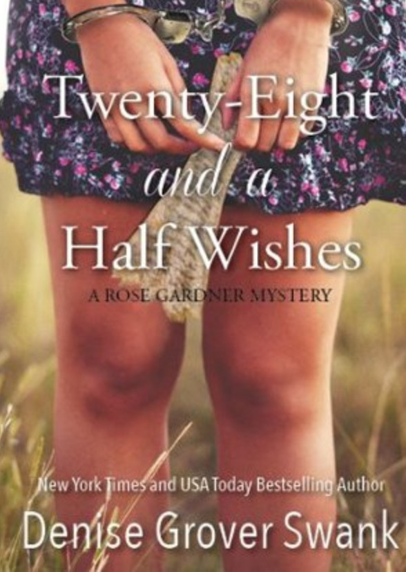 Twenty Eight and a Half Wishes 
