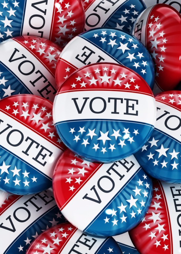 The Primaries