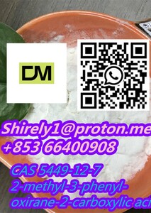 2-methyl-3-phenyl-oxirane-2-carboxylic acid CAS 5449-12-7 high quality