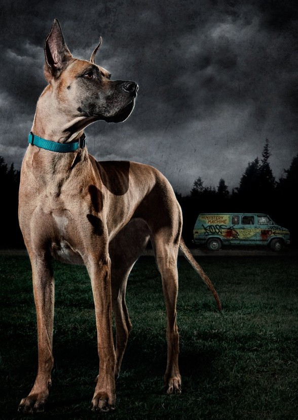 Scooby Doo