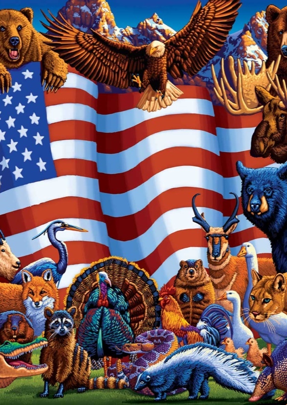 27 North American Animals