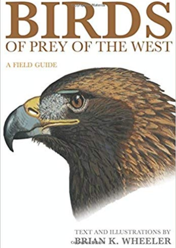 Birds and Prey: The Movie