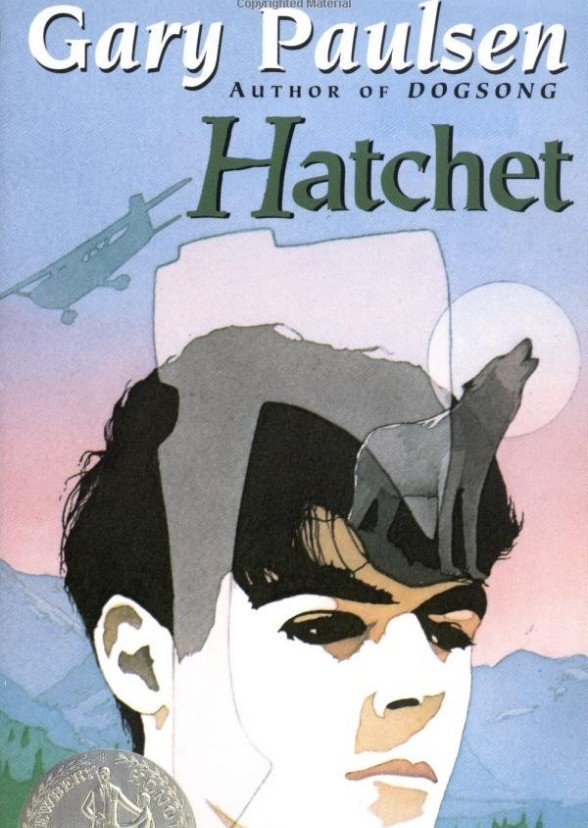 Fan Casting Jacob Tremblay as Brian Robeson in Hatchet on myCast