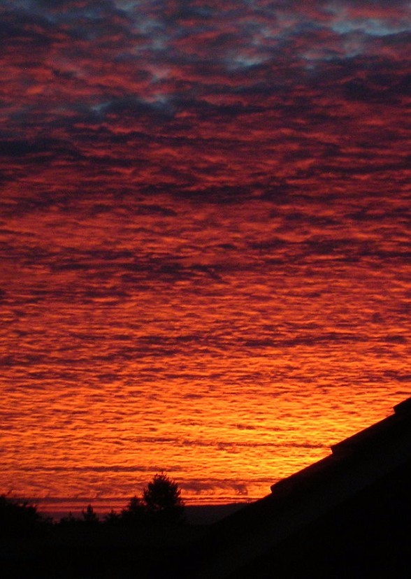 Under Red Skies