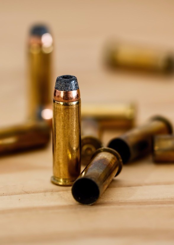 BULLETS OF THE GUN
