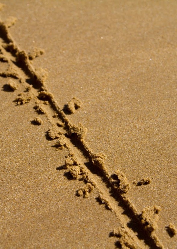 Crossing a Line