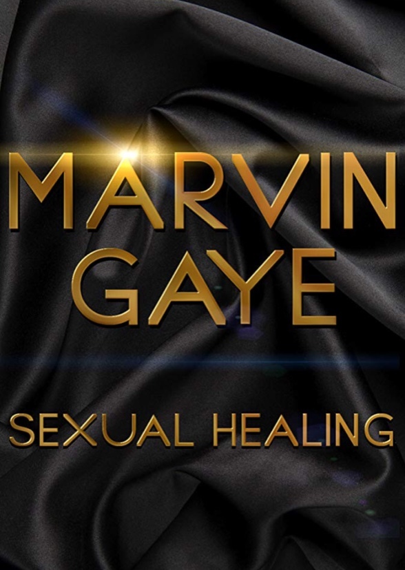 Sexual Healing: The Marvin Gaye Story
