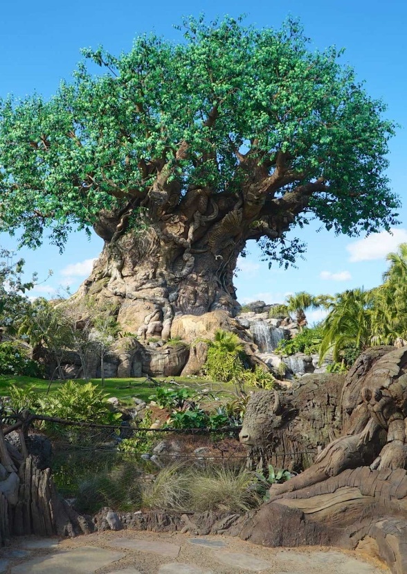 Animal Kingdom
