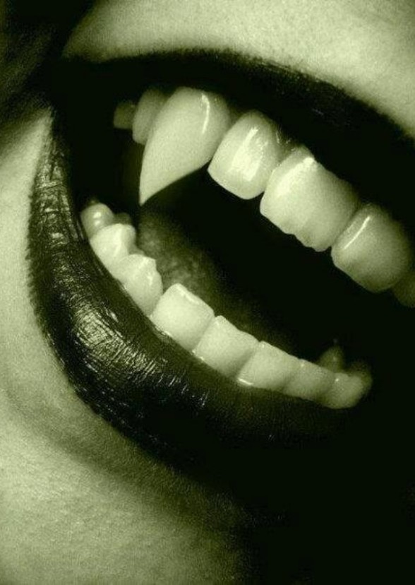 Vampires Anonymous