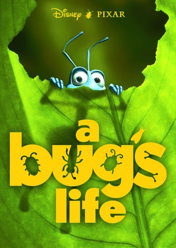 A Bug's Journey