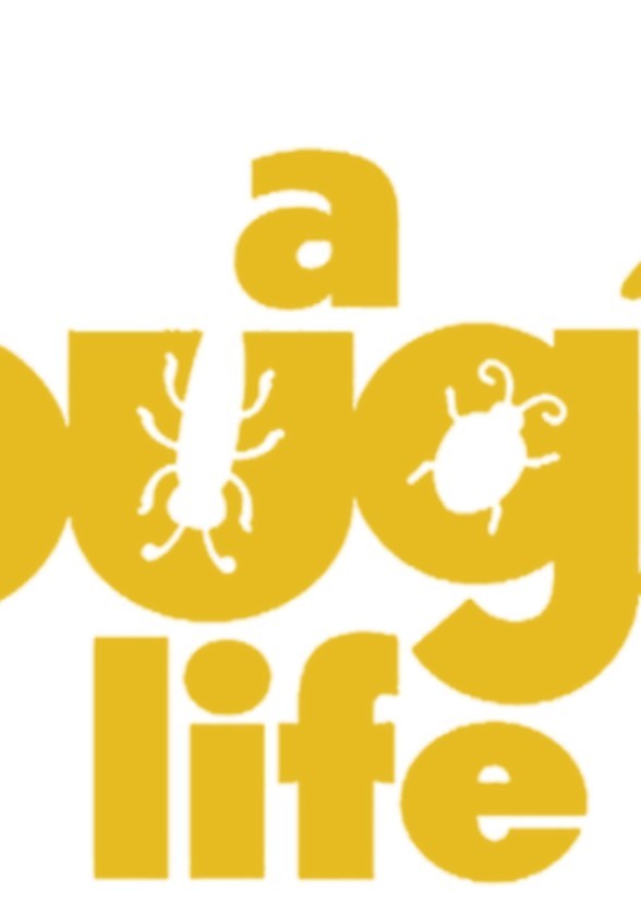 A Bug's Life (2D cartoon series)