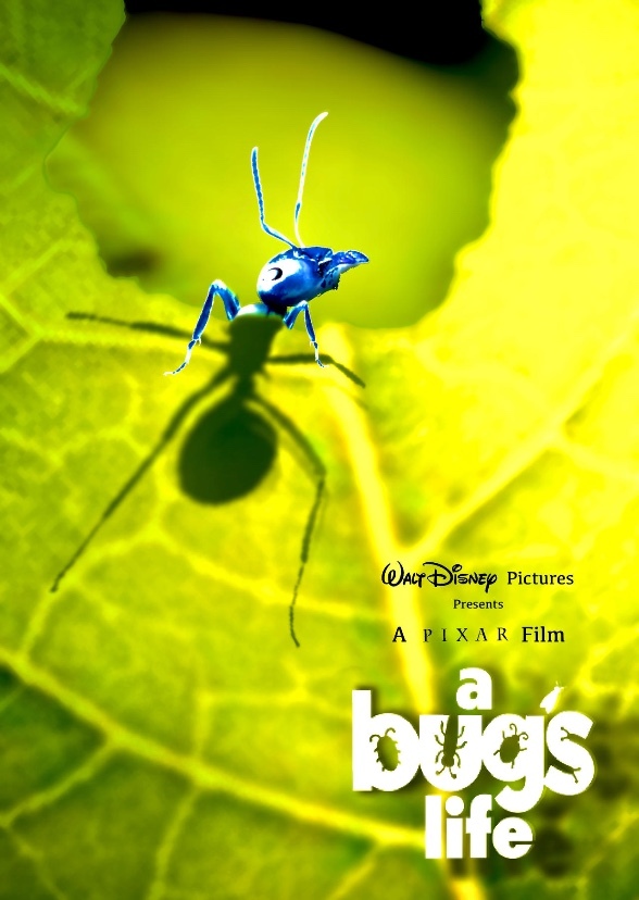A Bug’s Life