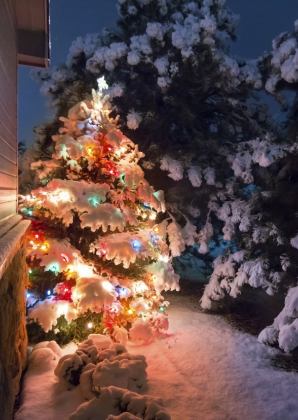 A Christmas Tale