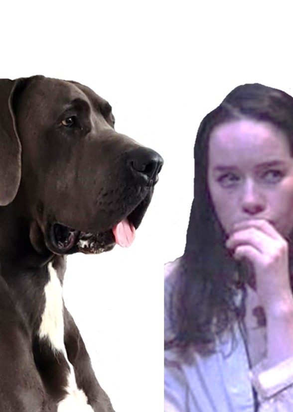 A Dog's Best Friend Is Her Human