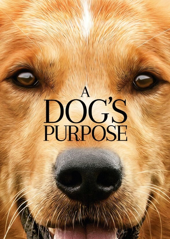 A Dog's Purpose