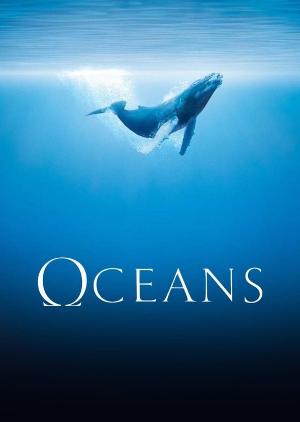 A Fun Ocean Adventure