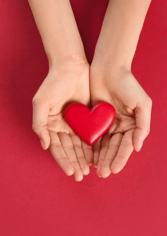 A Heartwarming Valentine's Day Comedy