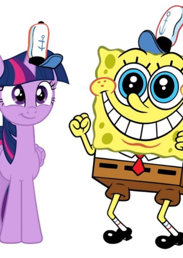 A Sponge's Life