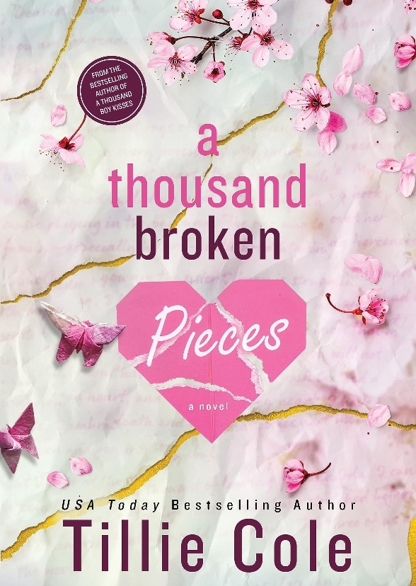 A thousand Broken Pieces