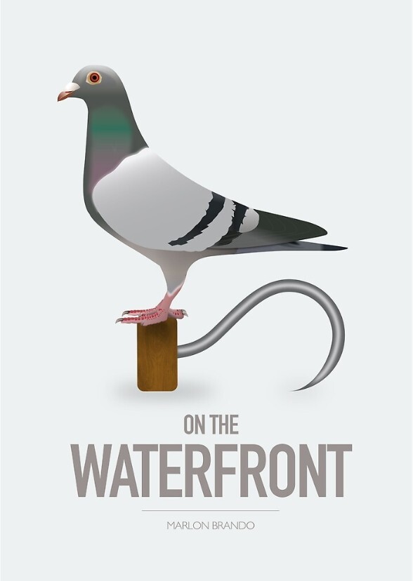 A24's On the Waterfront