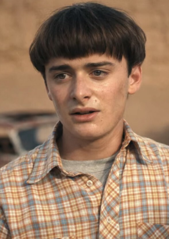 Actors Who Should've Played Will Byers In Various Decades ?