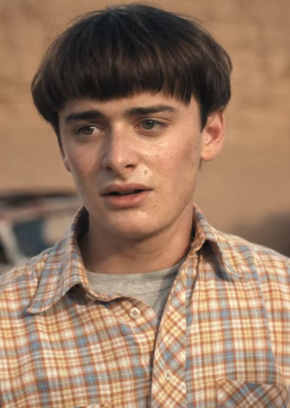 Actors Who Should've Played Will Byers In Various Decades ?