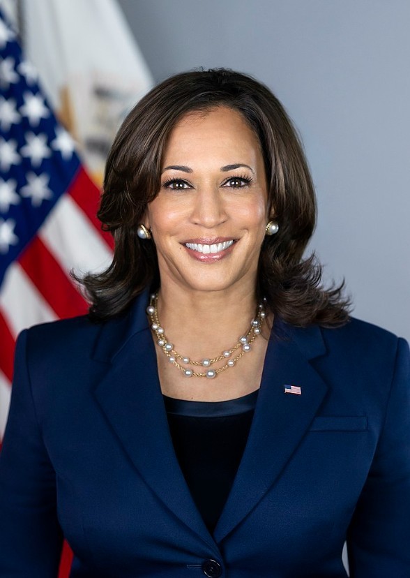 Actresses who could be or could have been female US President
