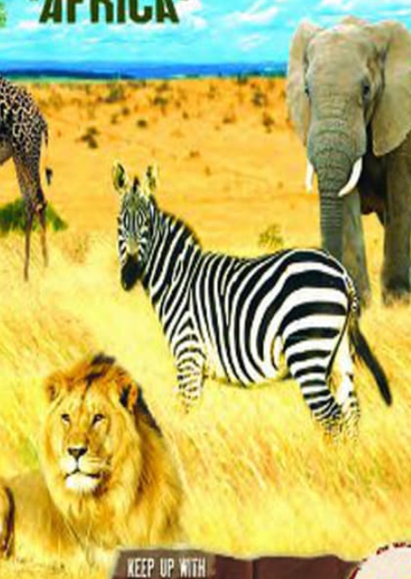 African Animals