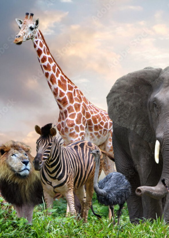 All animals or mascots of tvshow