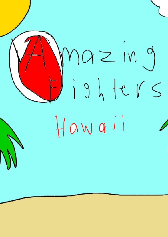 Amazing Fighters: Hawaii Season 1