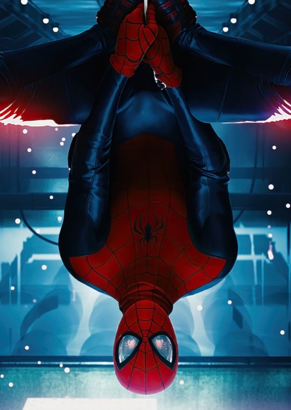 Amazing Spider-Man Season 1 (2017)