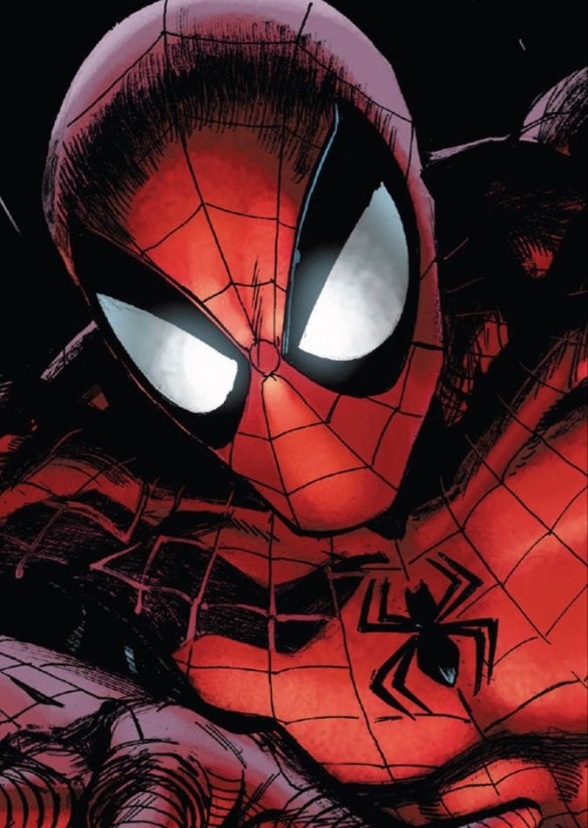 Amazing Spider Man Season 1 (2022)