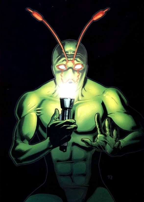 Ambush bug 2