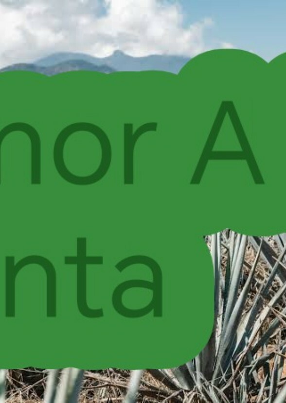 Amor a la venta