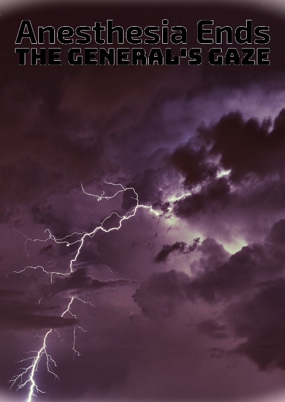 Anesthesia Ends: The General's Gaze