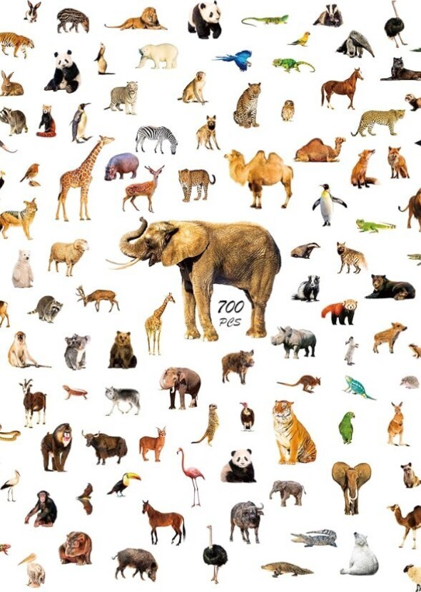 Animal Freinds