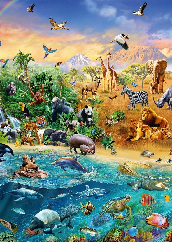 Animal Habitats (TV Series)