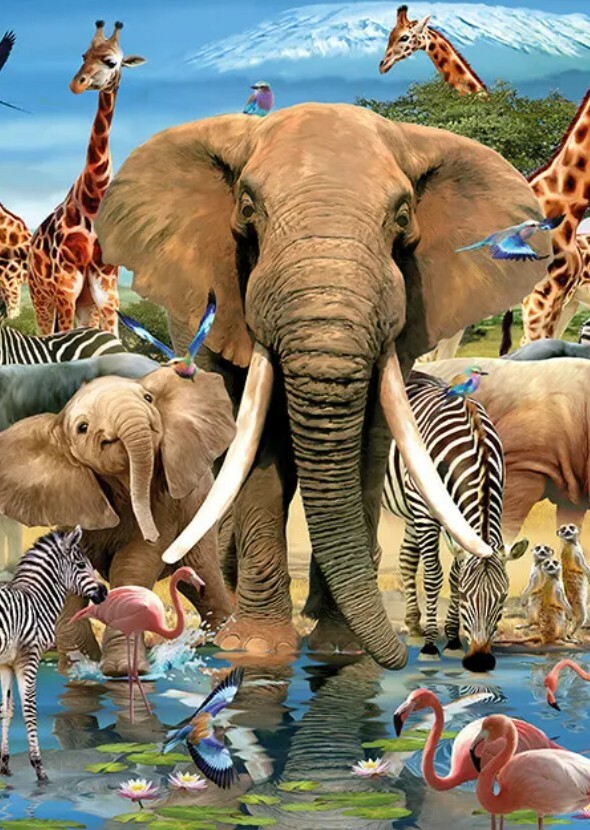 Animal Kingdom (Documentary Series)