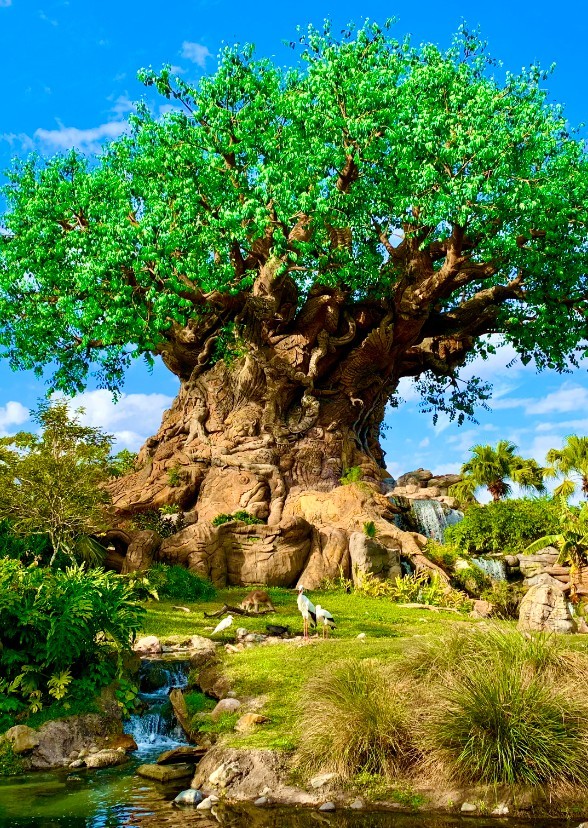 Animal kingdom the series