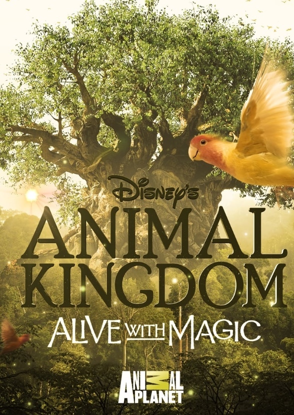 Animal kingdom the series