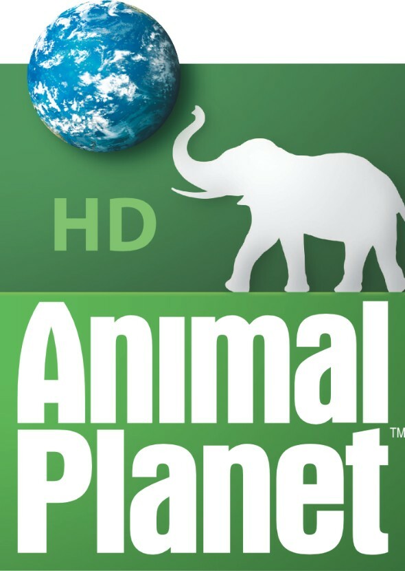Animal Planet