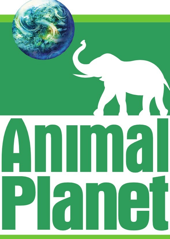 Animal Planet 