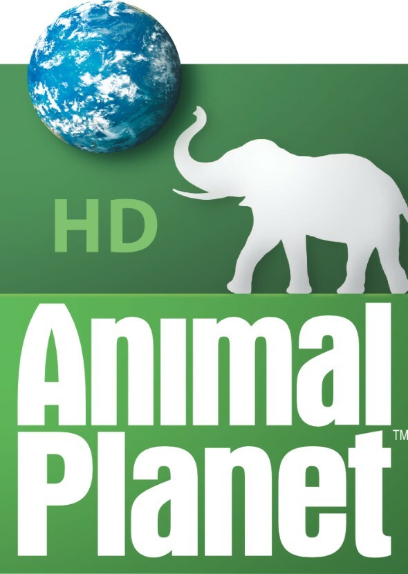 Animal Planet 