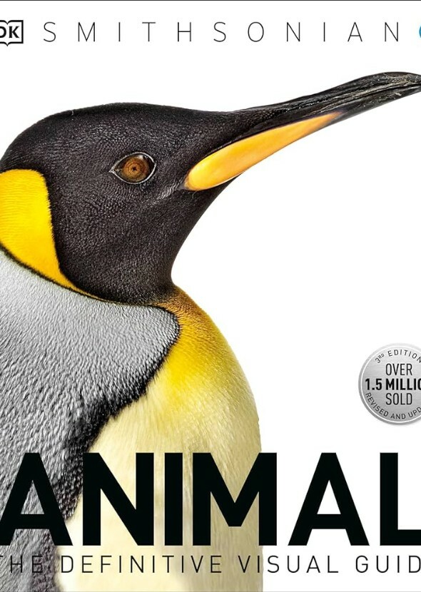 Animal intelligence overview