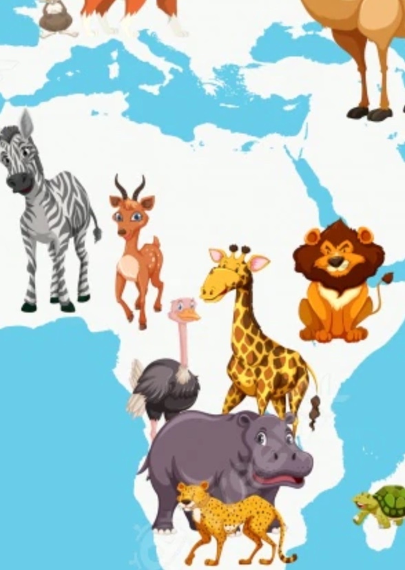 Animals around the world